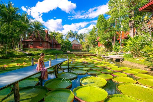 ИНСТА ТУР - 1