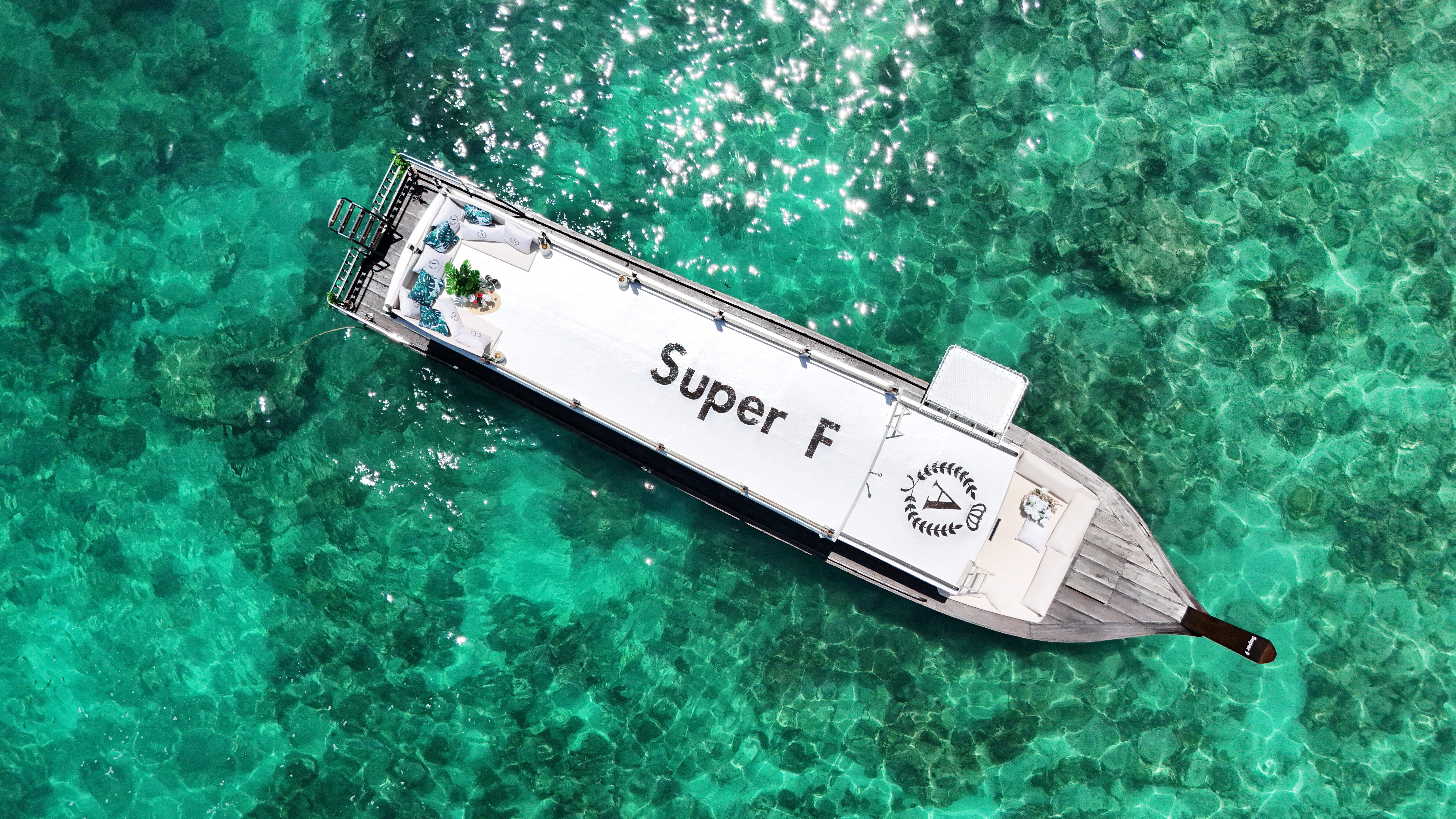 SUPER-F - 1