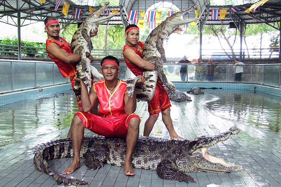 КРОКОДИЛОВАЯ ФЕРМА
- 1